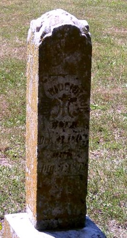 My beautiful picture